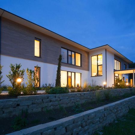 Weinvilla Vollmayer Hilzingen Exterior foto